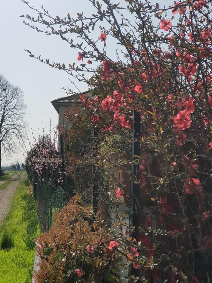 Az.Agr.Cascina Moretta Momo Экстерьер фото