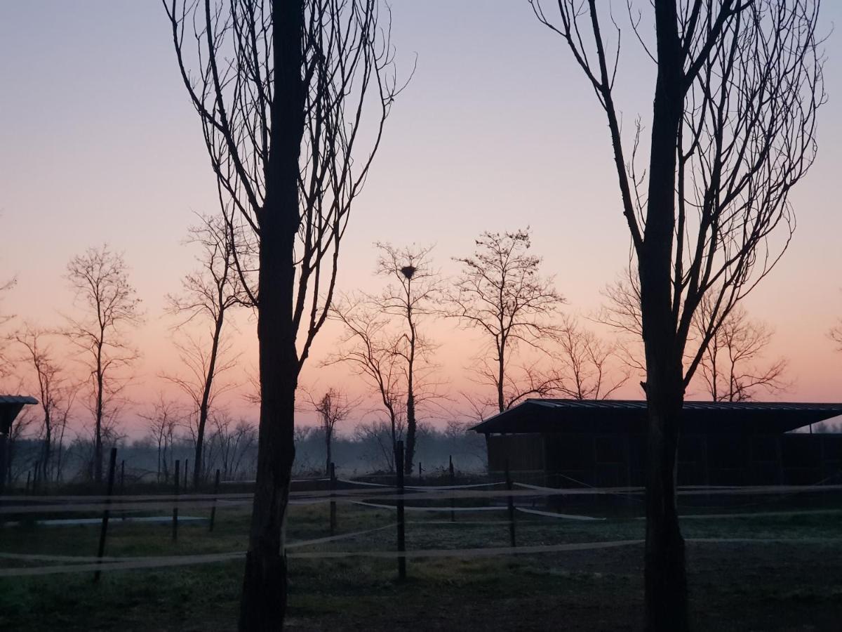 Az.Agr.Cascina Moretta Momo Экстерьер фото