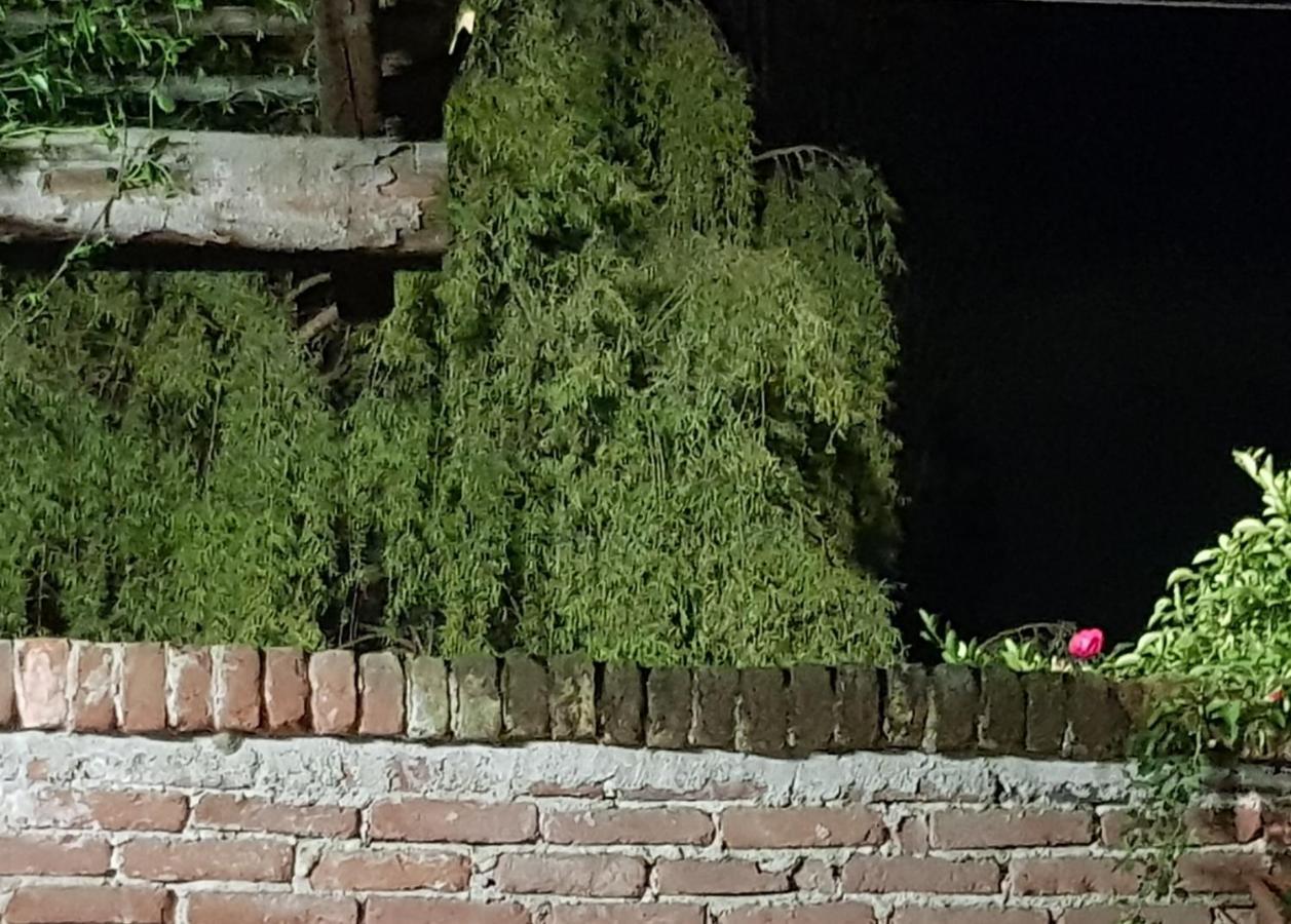 Az.Agr.Cascina Moretta Momo Экстерьер фото