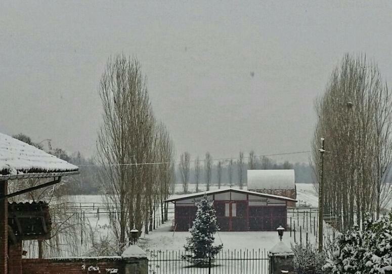 Az.Agr.Cascina Moretta Momo Экстерьер фото