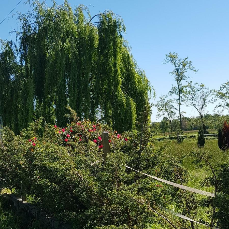 Az.Agr.Cascina Moretta Momo Экстерьер фото
